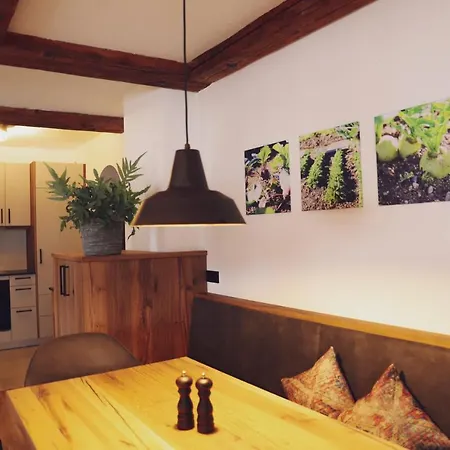 Mocking Apartment Kitzbuhel