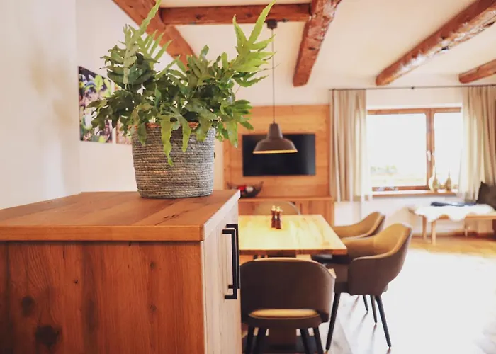 Mocking * קיצביהל